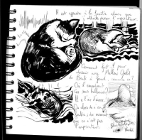 pitibook06