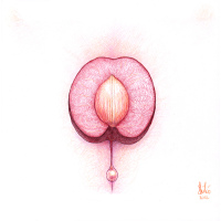2012-03-26---Copie